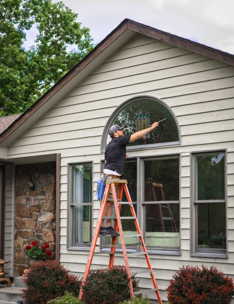 window cleaning